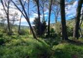 Casa de campo con terreno en venta en la España, Alzira, ref: TR414325 foto