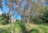 Casa de campo con terreno en venta en la España, Alzira, ref: TR414325 foto