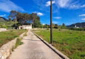 Casa de campo con terreno en venta en la España, Alzira, ref: TR414325 foto