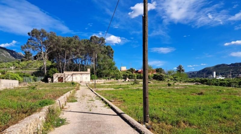Valencia - Alzira - 8381m2
