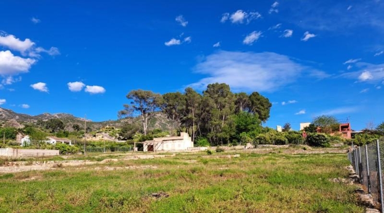 Valencia - Alzira - 8381m2