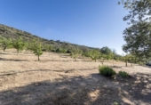 Chalet independiente con terreno en venta en la España, Güéjar Sierra, ref: TR414327 foto