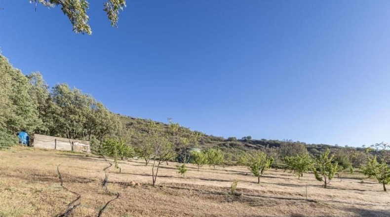 Granada - Güéjar Sierra - 5036m2