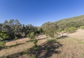Chalet independiente con terreno en venta en la España, Güéjar Sierra, ref: TR414327 foto