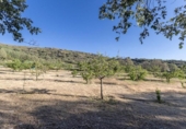 Chalet independiente con terreno en venta en la España, Güéjar Sierra, ref: TR414327 foto