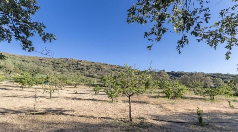 Granada - Güéjar Sierra - 5036m2