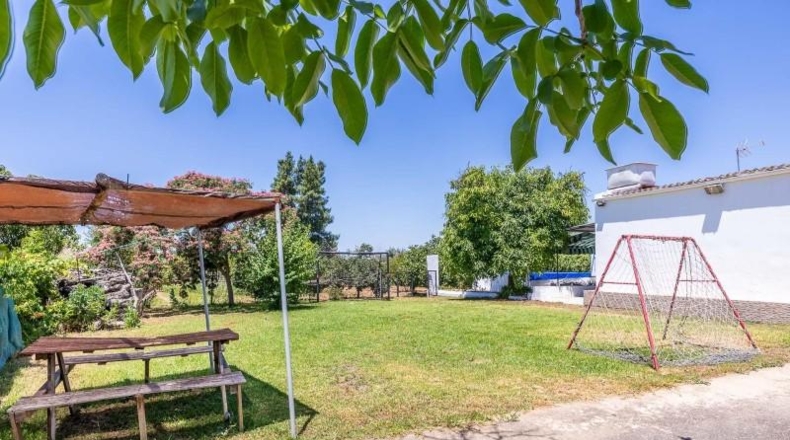 Sevilla - Aznalcázar - 1373m2