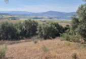 Chalet independiente con terreno en venta en la España, Arcos de la Frontera, ref: TR414326 foto