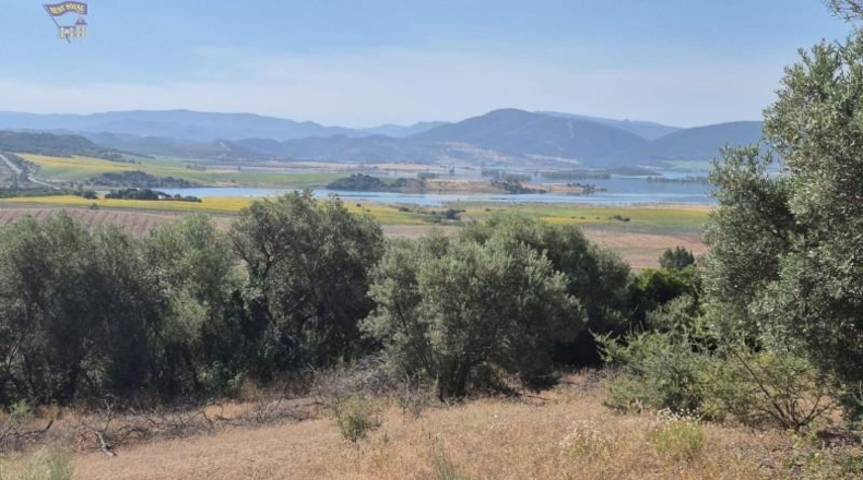 Cadiz - Arcos de la Frontera - 12152m2