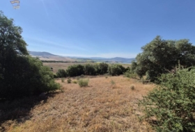 Arcos de la Frontera 12152&nbsp;m²