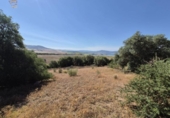 Chalet independiente con terreno en venta en la España, Arcos de la Frontera, ref: TR414326 foto