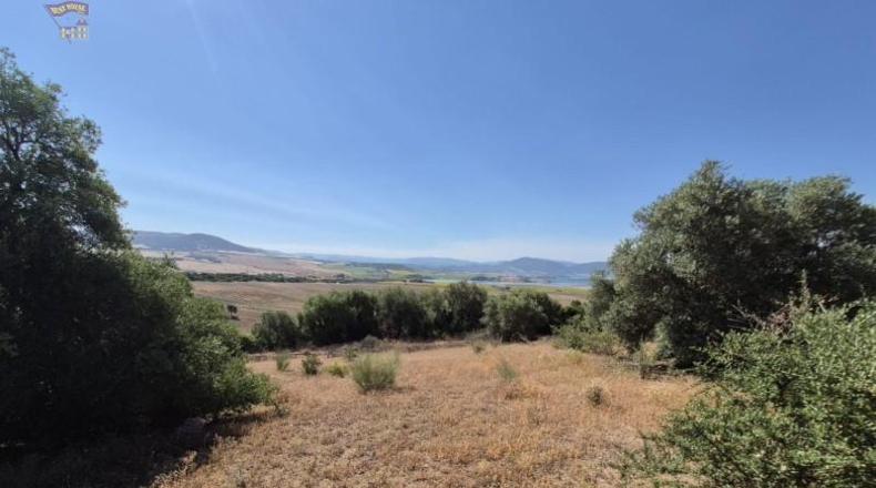 Cadiz - Arcos de la Frontera - 12152m2
