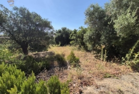 Arcos de la Frontera 12152&nbsp;m²