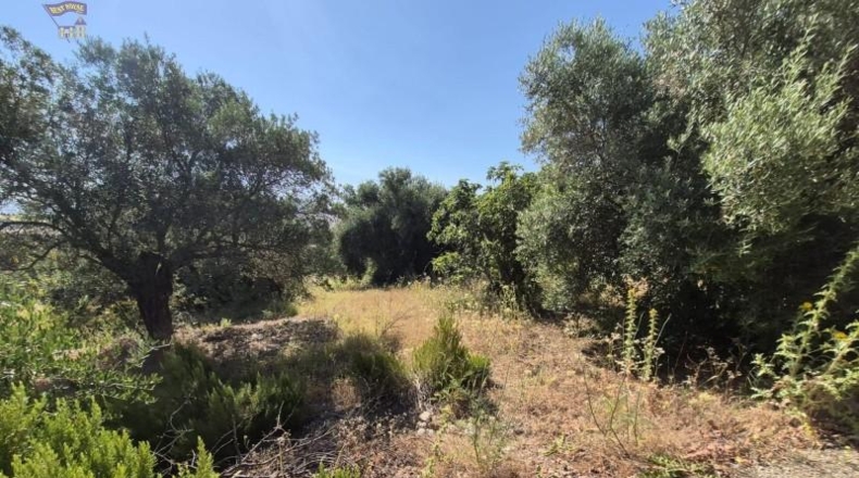 Cadiz - Arcos de la Frontera - 12152m2