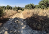 Chalet independiente con terreno en venta en la España, Arcos de la Frontera, ref: TR414326 foto