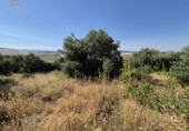 Chalet independiente con terreno en venta en la España, Arcos de la Frontera, ref: TR414326 foto