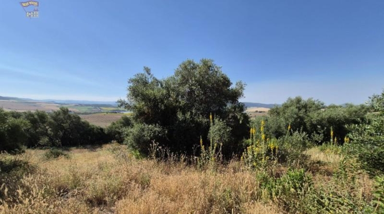 Cadiz - Arcos de la Frontera - 12152m2
