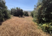 Chalet independiente con terreno en venta en la España, Arcos de la Frontera, ref: TR414326 foto
