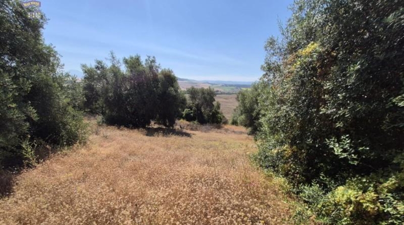 Cadiz - Arcos de la Frontera - 12152m2