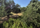 Chalet independiente con terreno en venta en la España, Arcos de la Frontera, ref: TR414326 foto