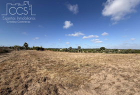 Almonte 15907&nbsp;m²