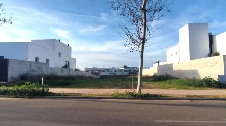 Badajoz - Badajoz - 1003m2