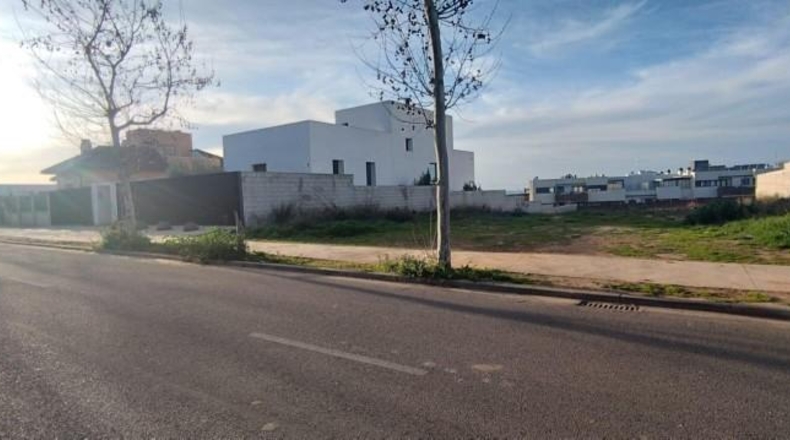 Badajoz - Badajoz - 1003m2