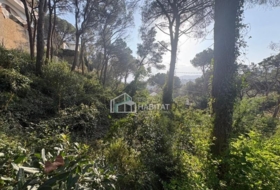 Cabrils 788&nbsp;m²