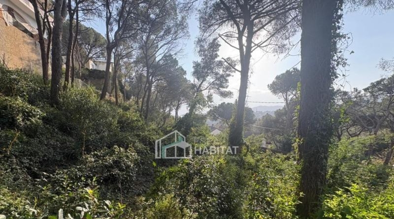 Barcelona - Cabrils - 788m2