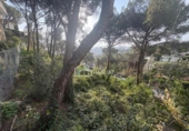 Suelo urbano en venta en la España, Cabrils, ref: TR408924 foto