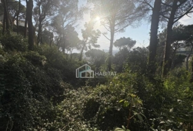 Cabrils 788&nbsp;m²