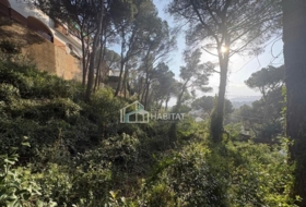 Cabrils 788&nbsp;m²