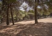 Chalet independiente con terreno en venta en la España, Ogíjares, ref: TR398940 foto