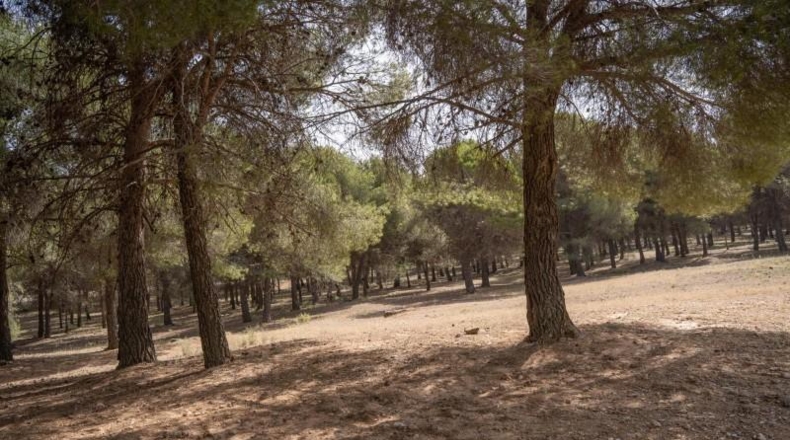 Granada - Ogíjares - 450m2
