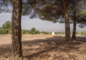 Chalet independiente con terreno en venta en la España, Ogíjares, ref: TR398940 foto