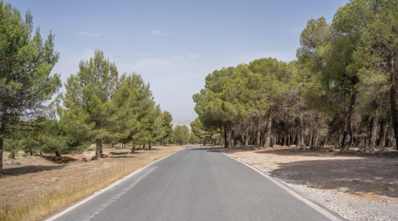 Granada - Ogíjares - 450m2