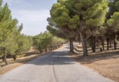 Chalet independiente con terreno en venta en la España, Ogíjares, ref: TR398940 foto