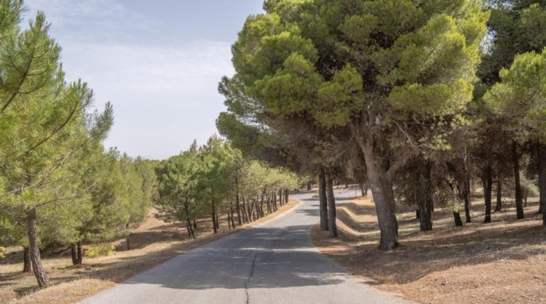 Granada - Ogíjares - 450m2