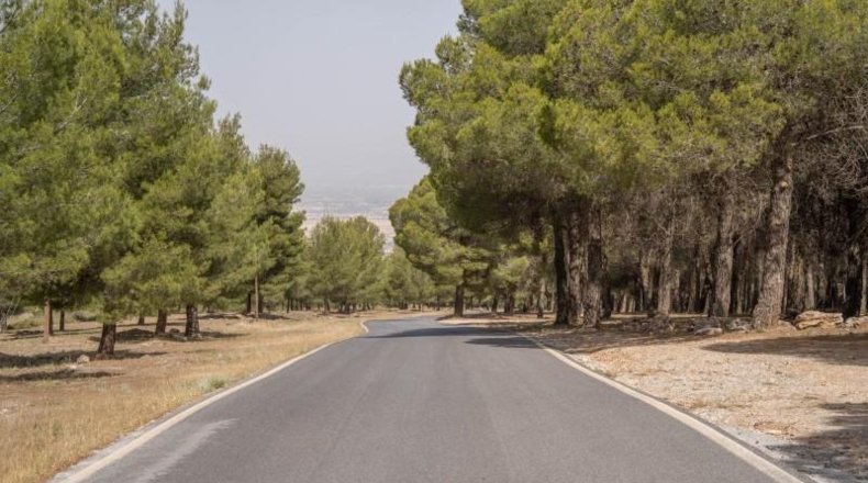 Granada - Ogíjares - 450m2