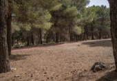 Chalet independiente con terreno en venta en la España, Ogíjares, ref: TR398940 foto