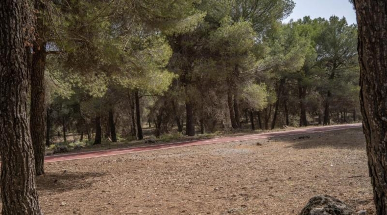 Granada - Ogíjares - 450m2