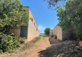 Chalet independiente con terreno en venta en la España, Ariany, ref: TR414343 foto
