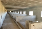 Chalet independiente con terreno en venta en la España, Ariany, ref: TR414343 foto