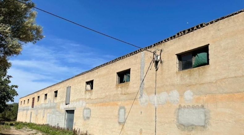 Балеарские острова - Ariany - 14554m2
