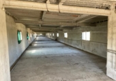 Chalet independiente con terreno en venta en la España, Ariany, ref: TR414343 foto