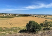 Chalet independiente con terreno en venta en la España, Ariany, ref: TR414343 foto