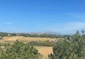 Chalet independiente con terreno en venta en la España, Ariany, ref: TR414343 foto