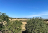 Chalet independiente con terreno en venta en la España, Ariany, ref: TR414343 foto