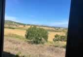 Chalet independiente con terreno en venta en la España, Ariany, ref: TR414343 foto