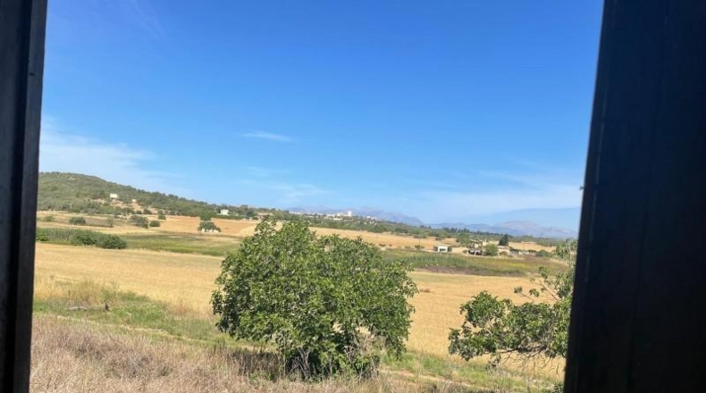 Балеарские острова - Ariany - 14554m2